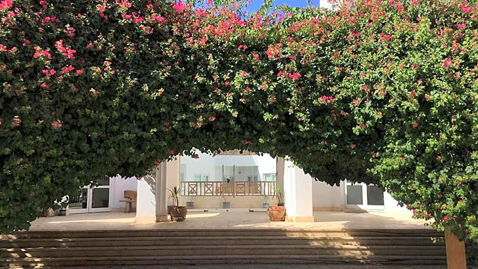 Blue Vision Diving Hotel