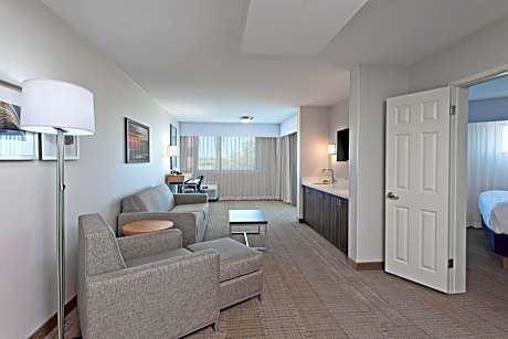 One-Bedroom King Suite