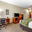 Comfort Inn & Suites Lenoir Hwy 321 Northern Foothills