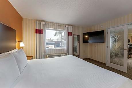 Suite, 1 King, Alternate bed: sofa bed