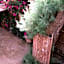 Auberge L'Oasis