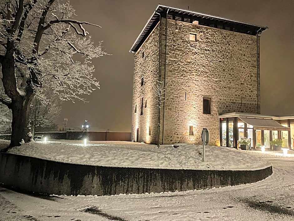 Hotel Torre Zumeltzegi