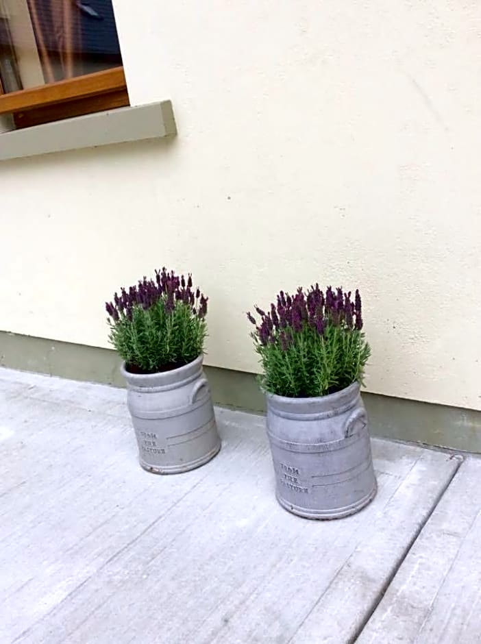 Holland House F94DP26