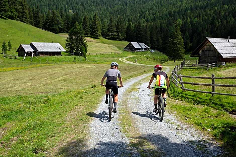 Alpenhotel & Aparthotel Lanz