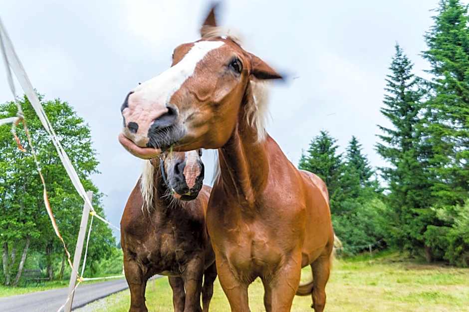 Residence Cavanis Wellness & Spa