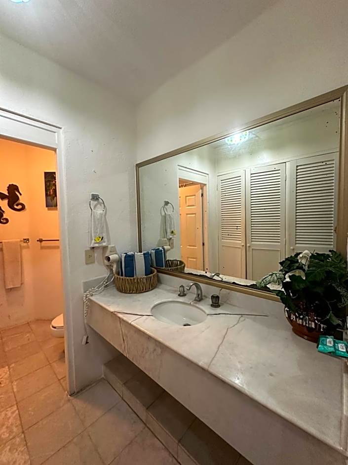 HAB PTa B ÁREA DE VILLAS DENTRO DEL HOTEL Junto al Krystal EN IXTAPA WIFI 2A 1M Con playa