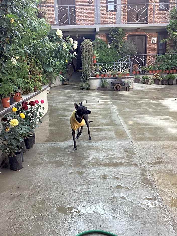 Hotel las carretas , spa y temazcal