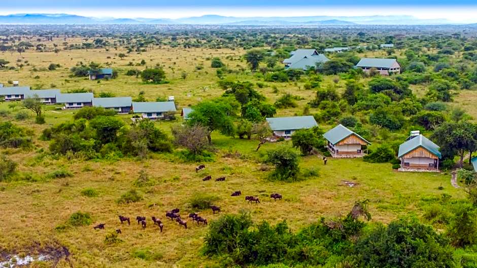 Africa Safari Serengeti Ikoma