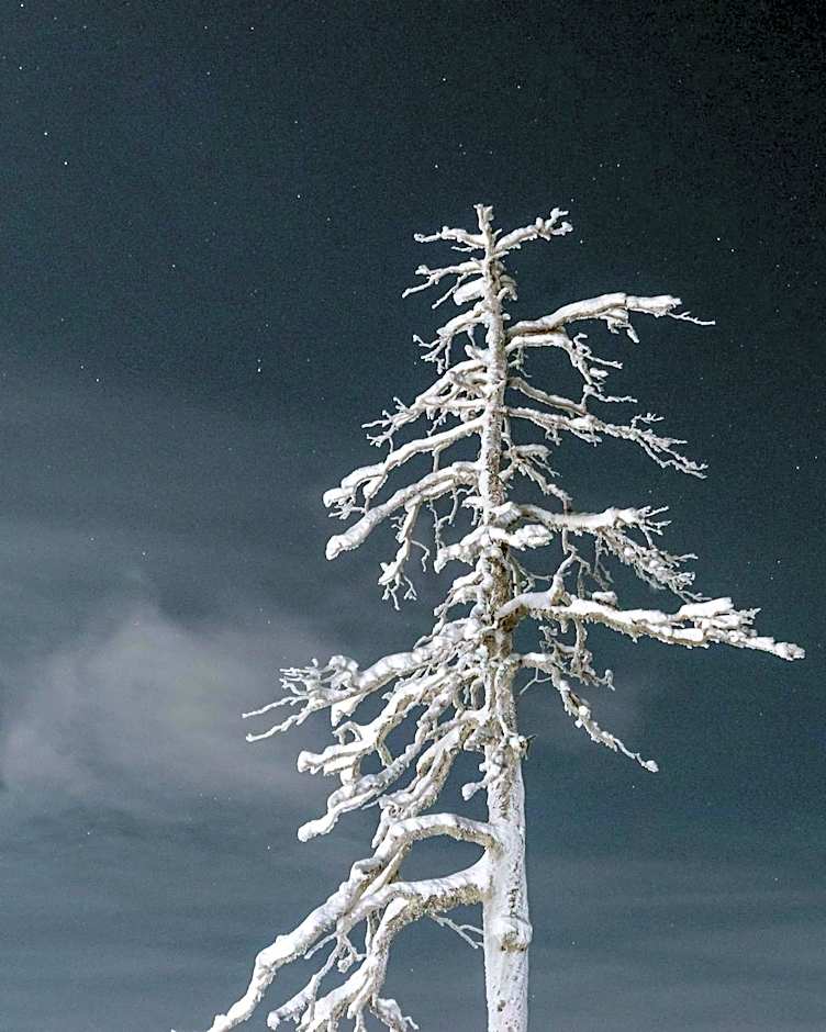 Napapiirin Järvilomat