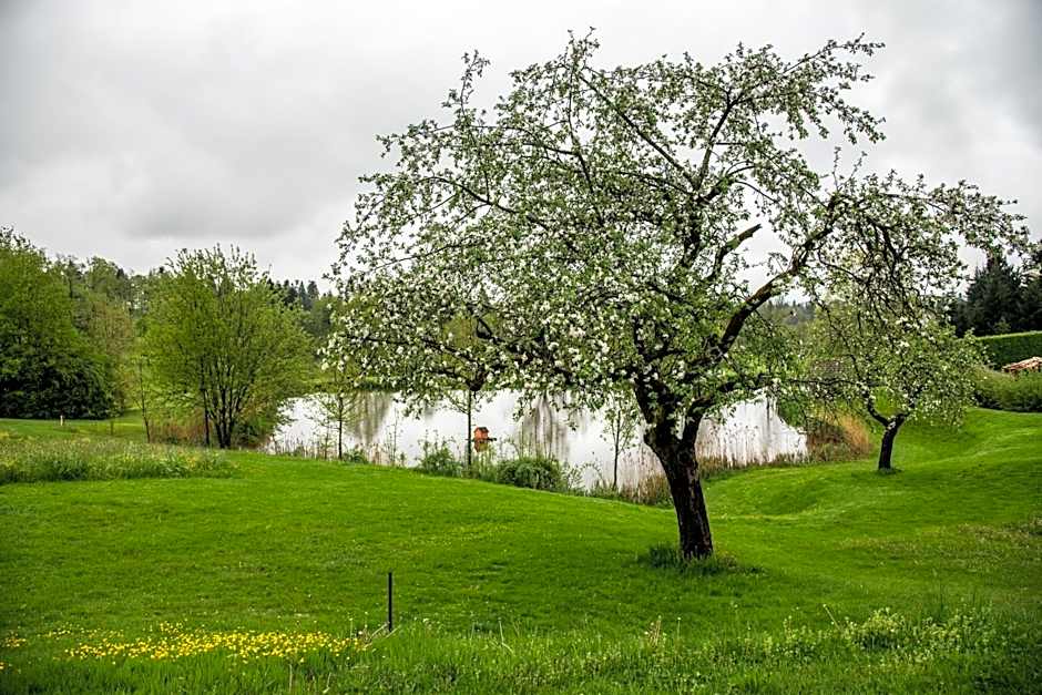 ANETSEDER Landhotel, Lofts & Golf