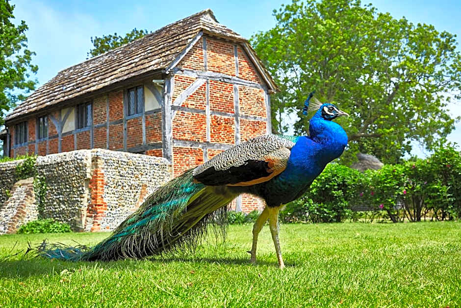 Bailiffscourt Hotel & Spa