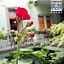 Hotel Puebla De Antano