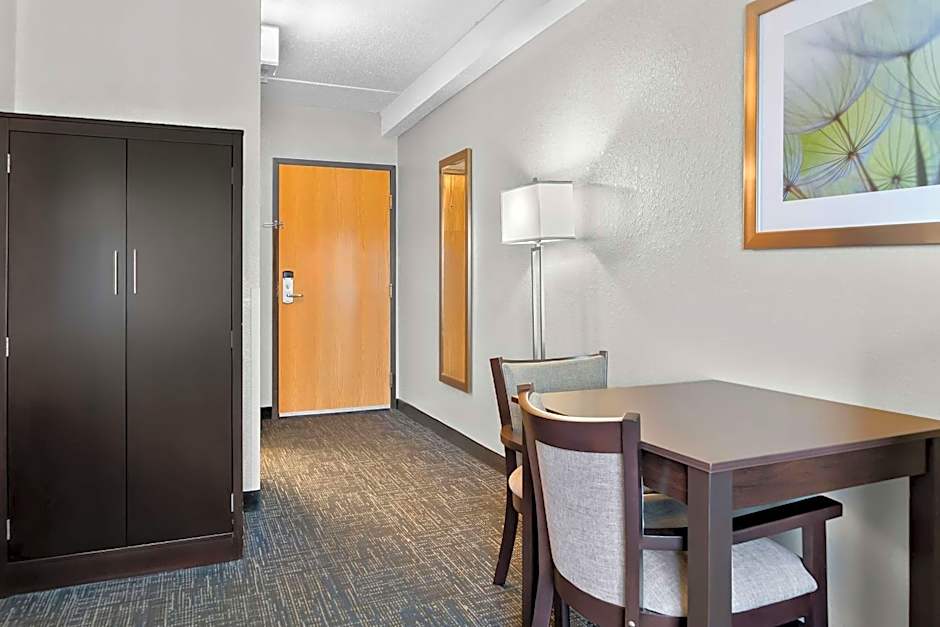Best Western PLUS Flint Airport Inn & Suites