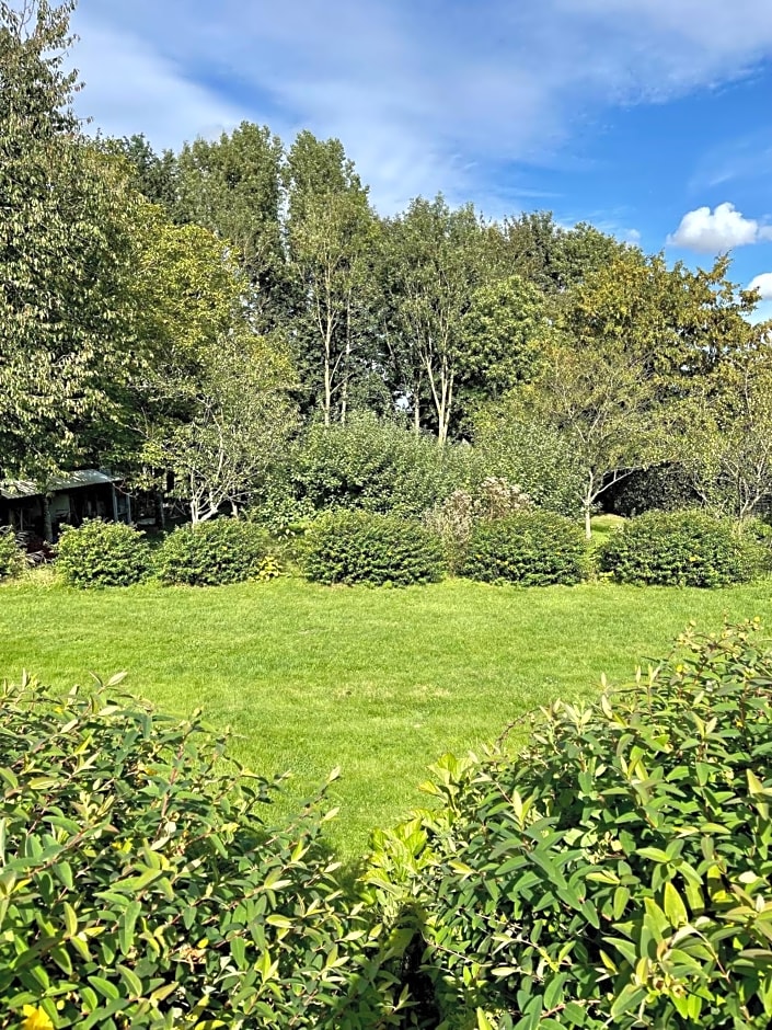 La Mésangeraie Gîte Chambres d'hôtes