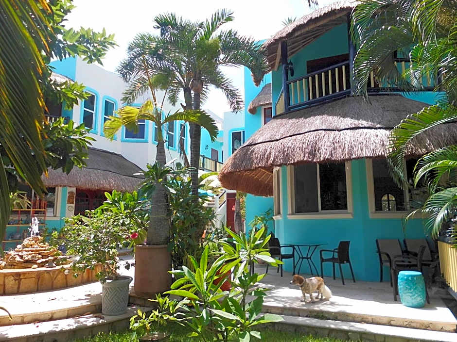 Casa Gatos