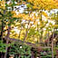 Kurokawa Onsen Oyado Noshiyu