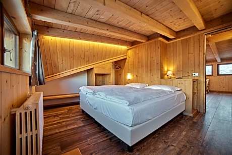 Two-Bedroom Apartment in Dependance