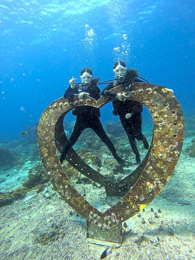 Good Viewing Spot B&B