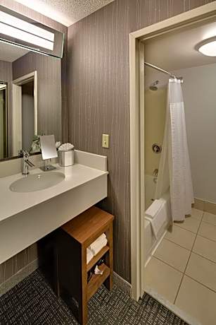 Suite, 1 Bedroom (1 King Bed and 1 Double Sofa Bed)