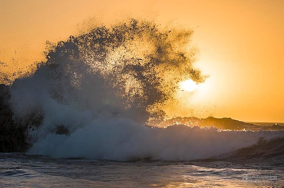 Residenze L'Isola Surf House