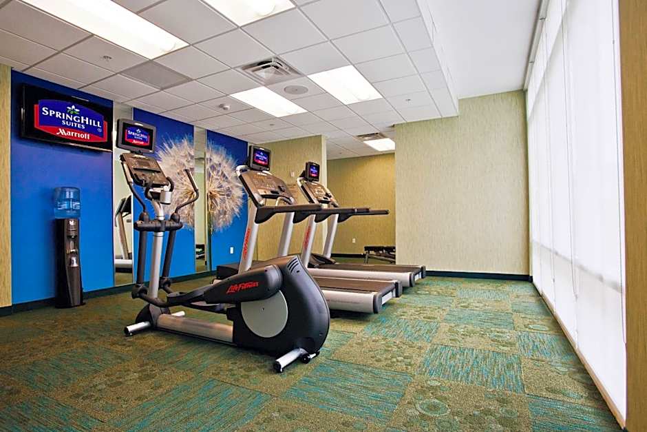 SpringHill Suites by Marriott Mobile