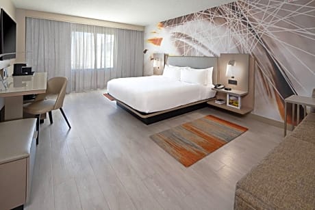 King Room with Sofa Bed and Roll-in Shower - Mobility Accessible