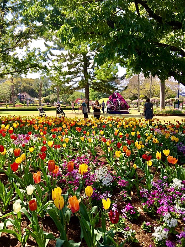 Oaks Toowoomba Hotel