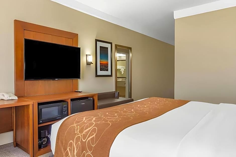 Comfort Suites Plainview