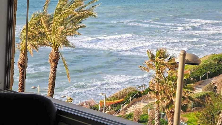 ?????? ????? ??????? ??? ???? -?? ?'???? ????