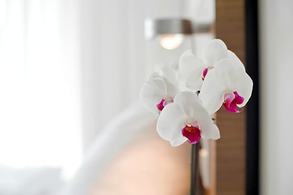 Hotel Constantia