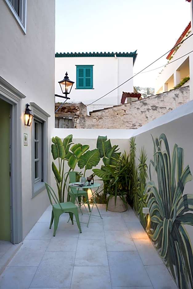 Cactus Hydra - Art Apartments