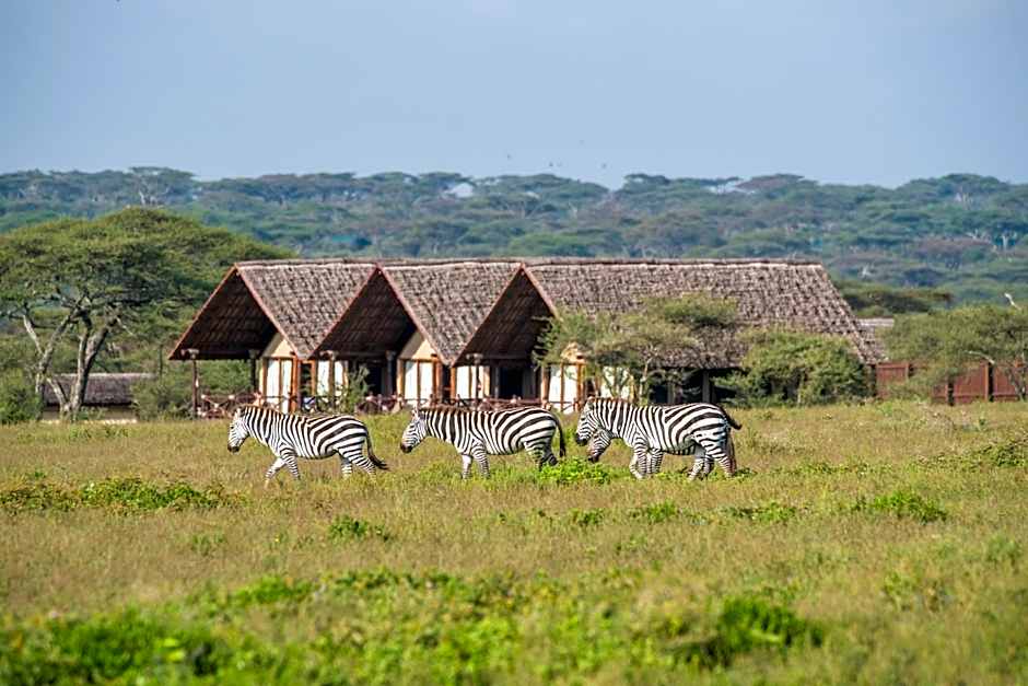 Lake Ndutu Luxury Tented Lodge