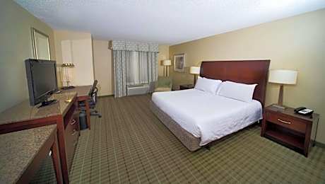 1 King Hearing Accessible Room