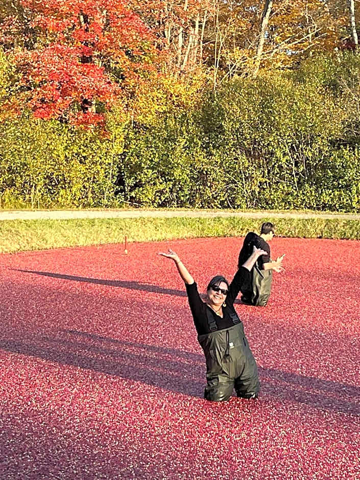 Blue Spruce Bed and Breakfast Muskoka