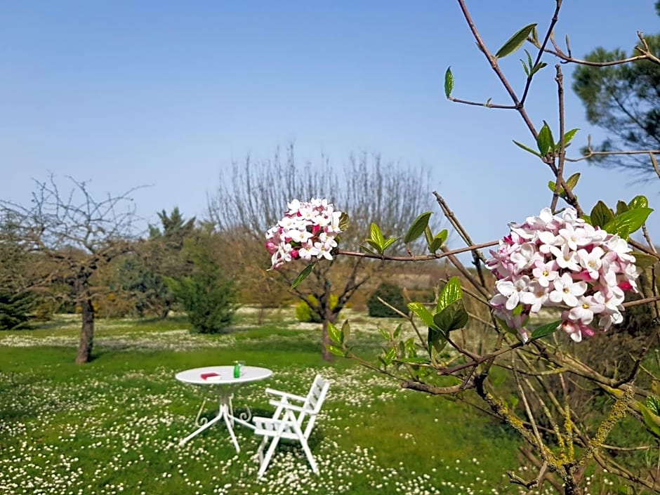 Domaine de Pelouaille - chambre d'hôtes