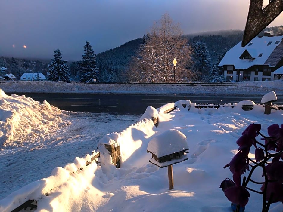 pop-up stuub feldberg