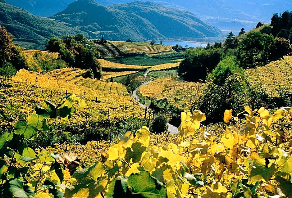 Hotel Thalhof am See