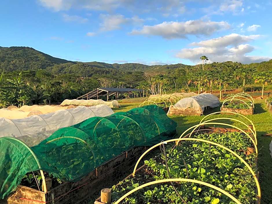 La Vieille Cheminée, Tropical Farm & Eco-Lodges