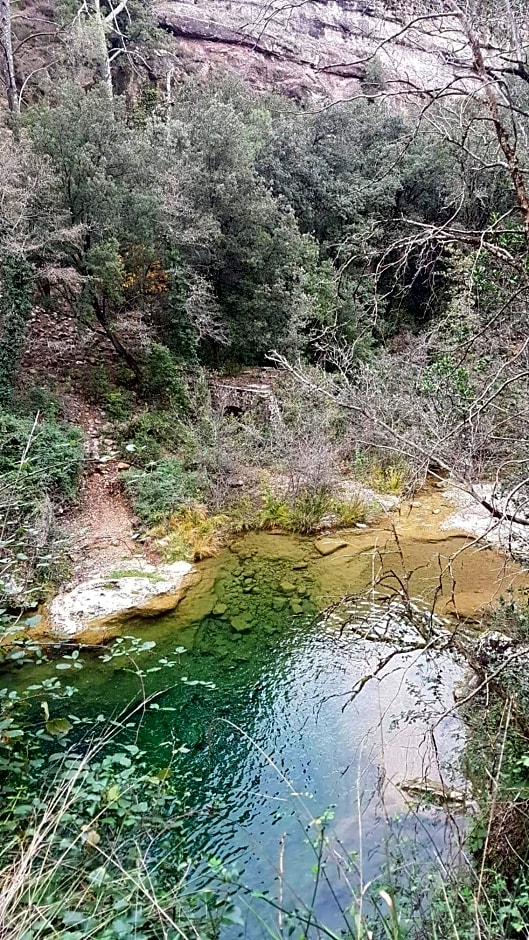 Le Clos du Cèdre