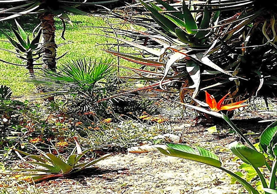 De Wingerd Wijnland Lodge