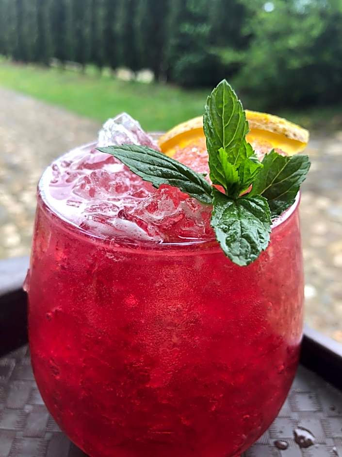 Hotel Boutique Calderon