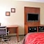 Comfort Inn & Suites Leeds I-20