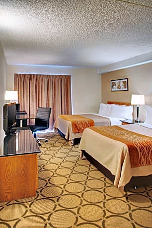 Deluxe Room with Two Double Beds - Ground Floor