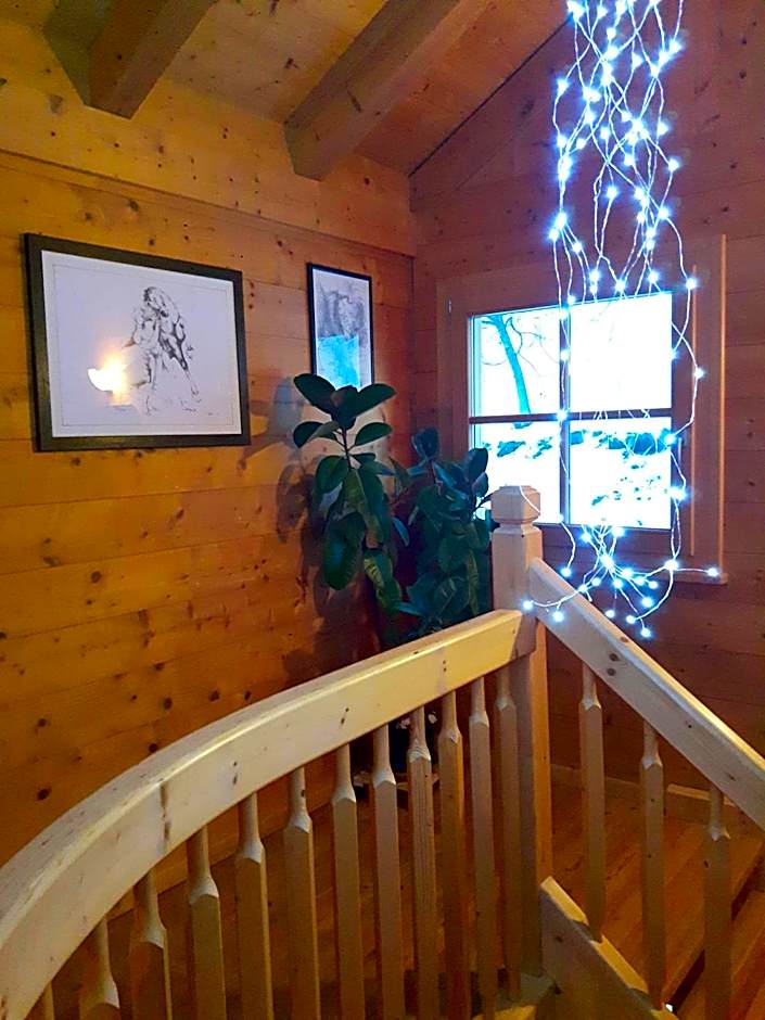 Activity Appartamento Vacanze