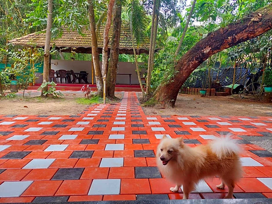 Marari Beach House