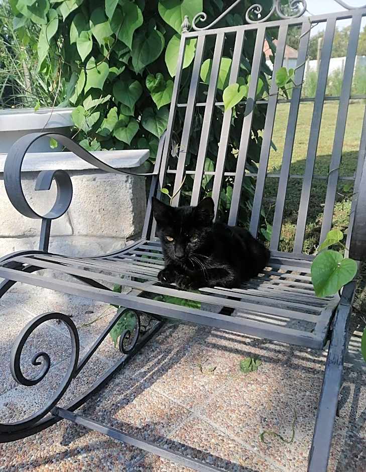 Sziget Gyöngye Vendégház