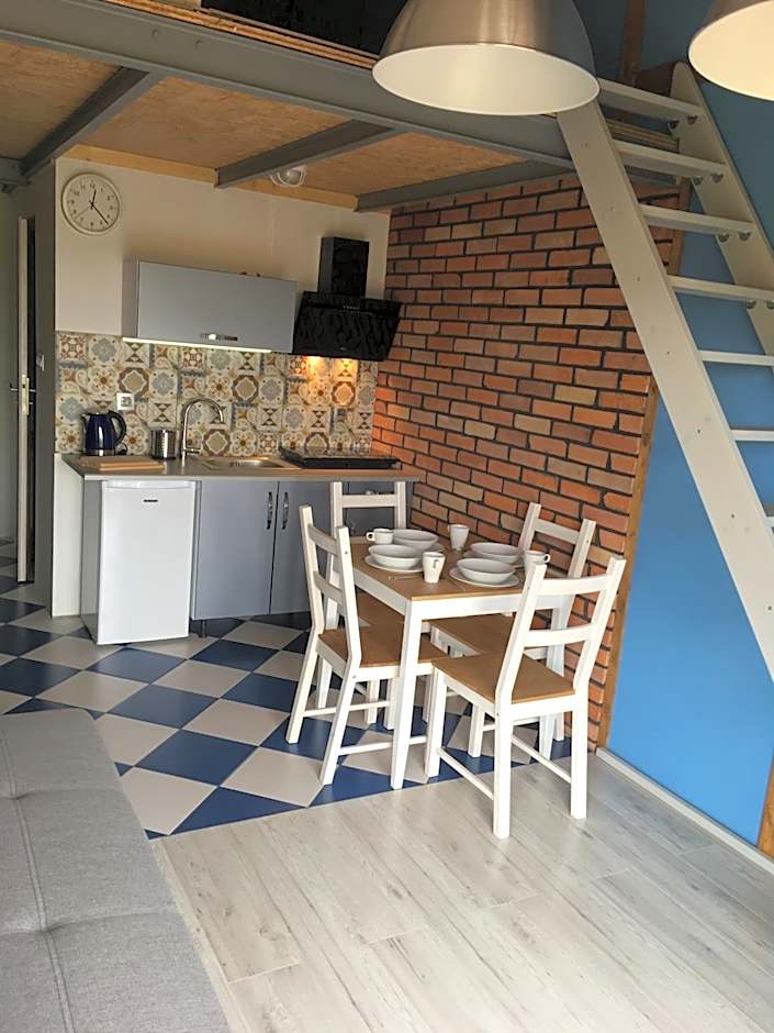 Koniczynka Jarosławiec