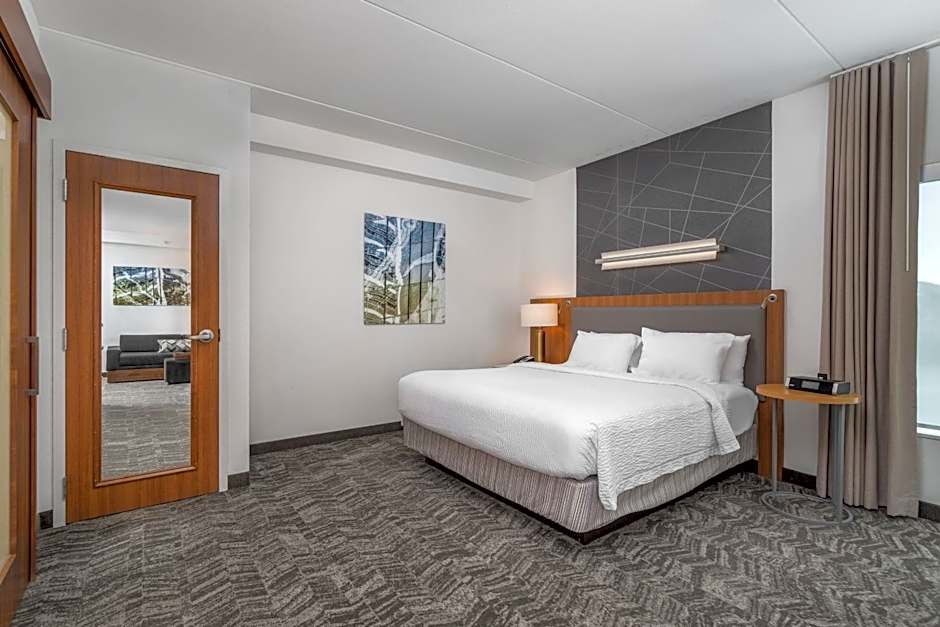SpringHill Suites by Marriott Chattanooga Downtown/Cameron Harbor