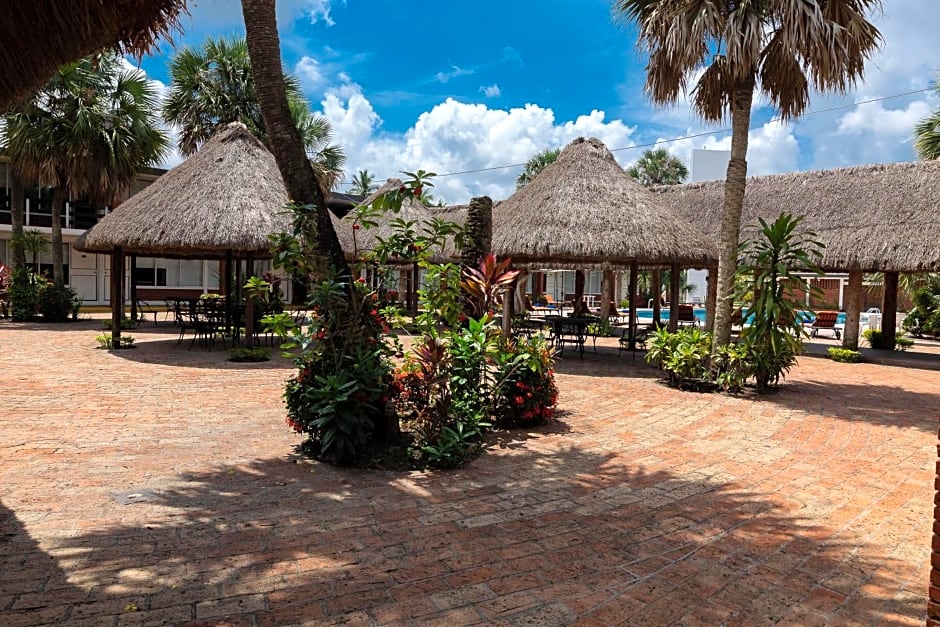 Hotel Plaza Palmas