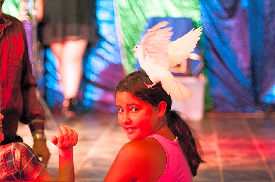 Grand Aquarium Apart